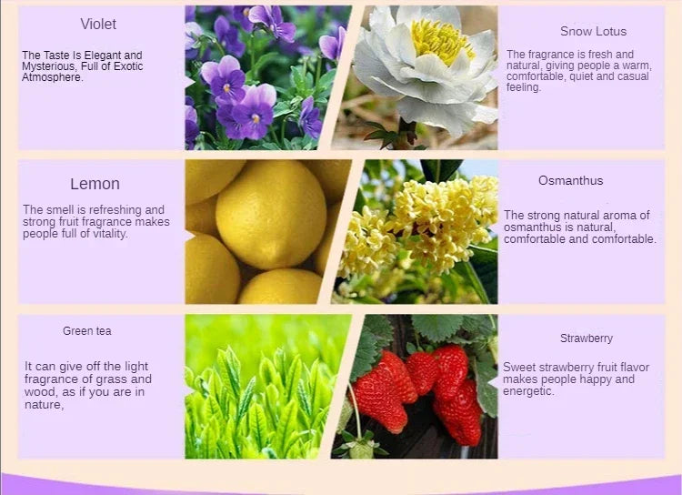 Trendzona™ 12pcs AirMist – Aromă Naturală în Fiecare Cameră